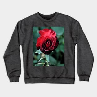 Red Rose Bloom Crewneck Sweatshirt